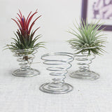 2 PCS Air Aluminum Wire Pineapple Rooting Holder Spring Base, Pineapple Rooting Holder