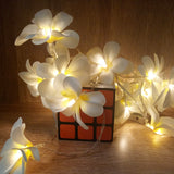 1.5m 10 LEDs Battery Powered Warm White Creative DIY Frangipani LED String Lights Floral Holiday Lighting Event Party Garland Bedroom Decoration Default Title