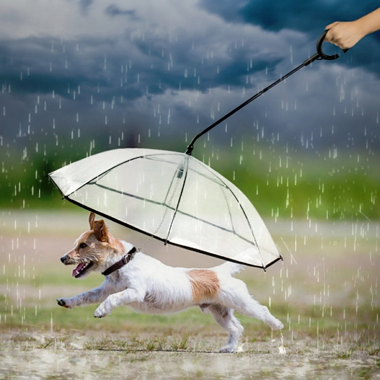Pet Umbrella Transparent Adjustable Rainy Dog ?Walking Leash, Pet Umbrella