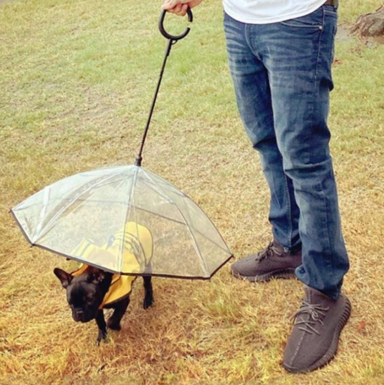 Pet Umbrella Transparent Adjustable Rainy Dog ?Walking Leash, Pet Umbrella