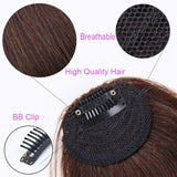 Fake Bangs Clip Hairpiece Synthetic Bangs Hair