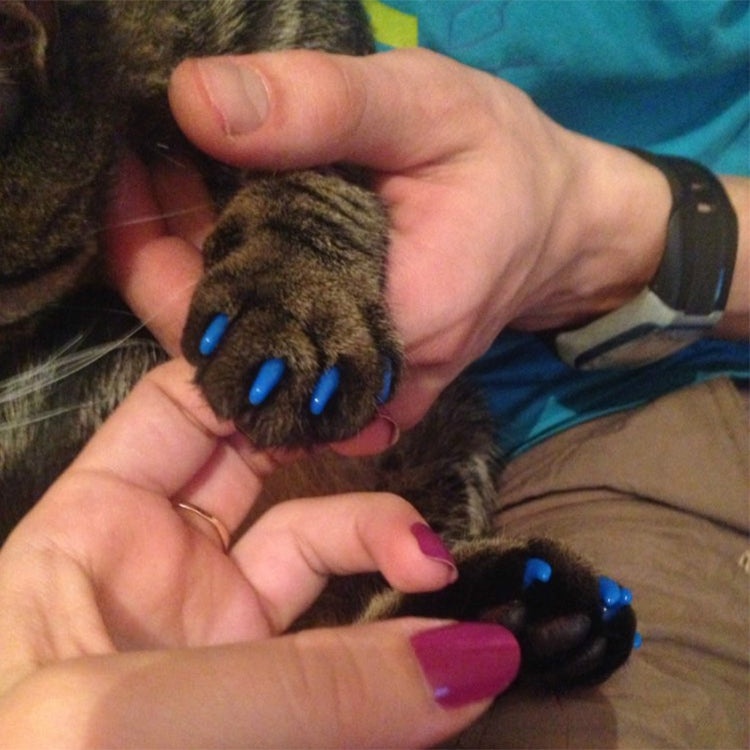 20 PCS Silicone Soft Cat Nail Caps / Cat Paw Claw / Pet Nail Protector/Cat Nail Cover, XS, S, M, L