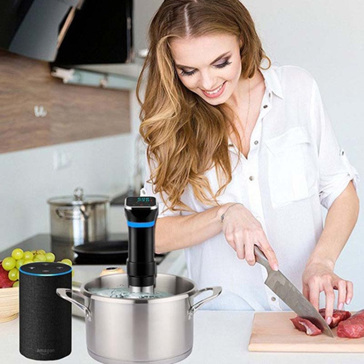Low Temperature Slow Cooker Thawed Vacuum Steak Machine, UK Plug, US Plug, EU Plug