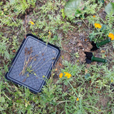 3 in 1 Plastic Multi-Function Tray Shoe Tray Pet Feeding Tray, Pet Feeding Tray