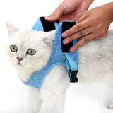 Cat Leash Pet Chest Harness Leash, S