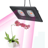 Ultra-Thin LED Plant Light, Full Spectrum COB Growth Light, Vegetable, Fruit & Flower Greenhouse Fill Light Without Plug, 50W, 100W, 150W 100W