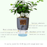 Transparent Plastic Double-Layer Water Storage Automatic Water-Absorbing Flowerpot, A703 Caliber 8.2cm, A705 Caliber 10.5cm, A707 Caliber 15.3cm, A709 Caliber 23.5cm