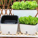 Family Balcony Rectangular Plastic Self-Absorbent Vegetable Growing Pot Flower Pot, Style:, SC01 Extra Large Pot, SC02 Big Pot