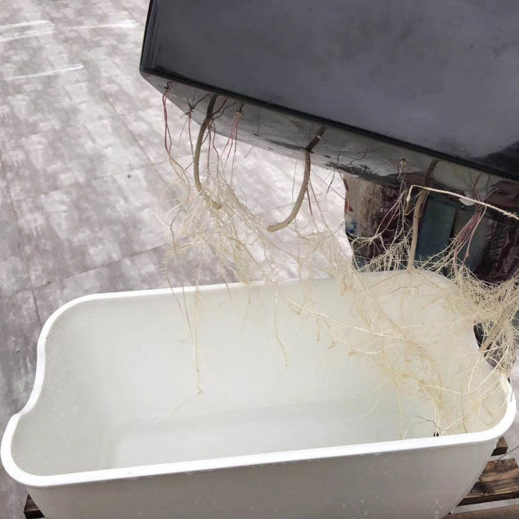 Family Balcony Rectangular Plastic Self-Absorbent Vegetable Growing Pot Flower Pot, Style:, SC01 Extra Large Pot, SC02 Big Pot