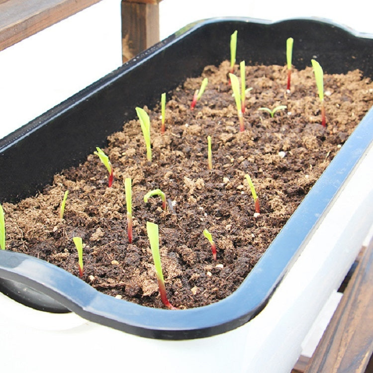 Family Balcony Rectangular Plastic Self-Absorbent Vegetable Growing Pot Flower Pot, Style:, SC01 Extra Large Pot, SC02 Big Pot