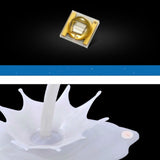 Bar Night Light Touch Table Lamp Wine Cabinet USB LED Lighting