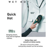 33W Handheld Electric Ironing Machine Rotatable Dry And Wet Garment Steam, US Plug, EU Plug