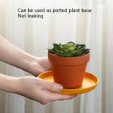 5pcs Home 6 Inch Small Dish Plastic Snack Cake Dish Dining Table Garbage Tray