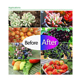 Ultra-Thin LED Plant Light, Full Spectrum COB Growth Light, Vegetable, Fruit & Flower Greenhouse Fill Light With Plug, 50W UK Plug, 100W UK Plug, 150W UK Plug, 50W US Plug, 100W US Plug, 150W US Plug, 50W EU Plug, 100W EU Plug, 150W EU Plug, 50W AU Plu...