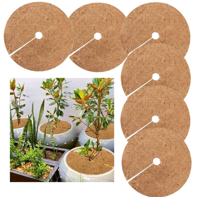 6 PCS/Set Plant Root Antifreeze Flowerpot Coconut Palm Flat Mat, Size:, 20cm, 30cm