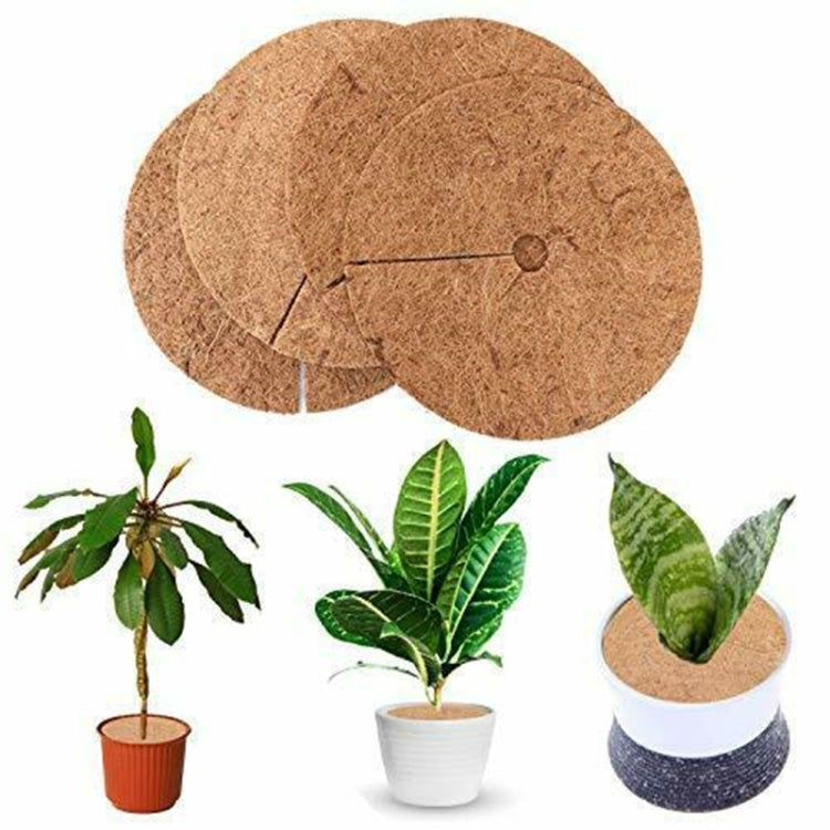 6 PCS/Set Plant Root Antifreeze Flowerpot Coconut Palm Flat Mat, Size:, 20cm, 30cm