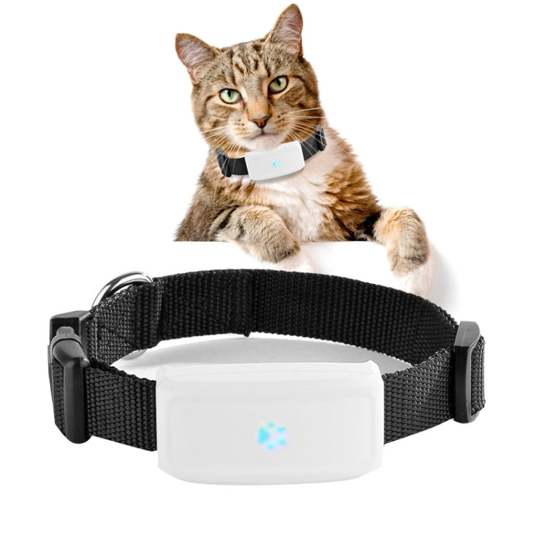TK911 2G Pet Waterproof GPS Tracker, TK911 TK911
