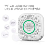 TY-GSA-87 Smart Home WIFI Gas Detector, EU Plug, US Plug, UK Plug