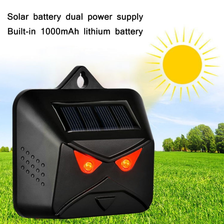 209A Solar High Frequency Flash Nocturnal Animal Repeller, 209A 1pc