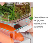 Fruit and Vegetable Refrigerator Crisper with Lid, With Lid, TY-9078, TY-9079, TY-9081, TY-9082