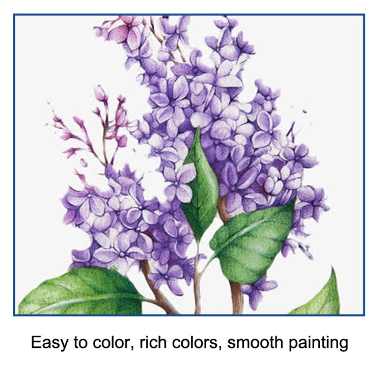 Sketch Color Pencil Set Art Student Drawing Kit, 51pcs/set, 71pcs/set, 96pcs/set