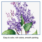 Sketch Color Pencil Set Art Student Drawing Kit, 51pcs/set, 71pcs/set, 96pcs/set