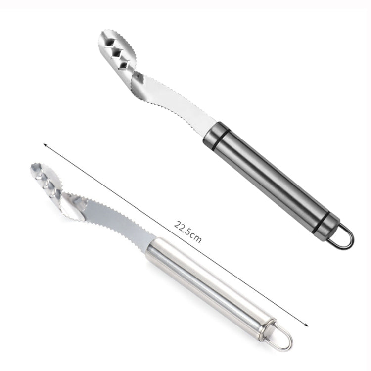 10 PCS Stainless Steel Pepper Seed Decator Fruit Kernel Knife, Round Handle, Diplonema Handle