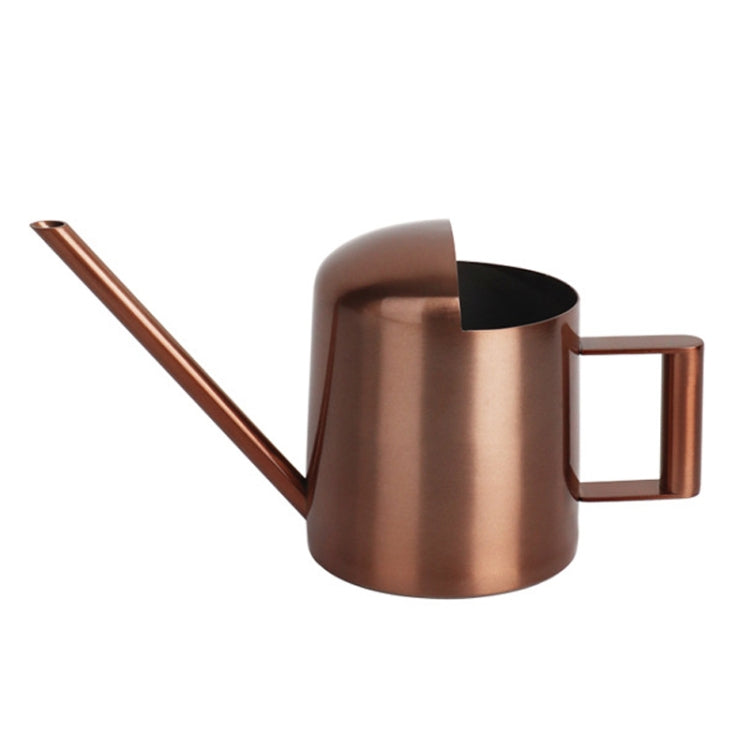 300ML Stainless Steel Watering Can with Long Spout, Bronze, Black Bronze