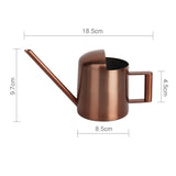 300ML Stainless Steel Watering Can with Long Spout, Bronze, Black