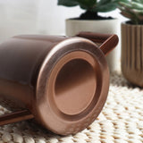 300ML Stainless Steel Watering Can with Long Spout, Bronze, Black