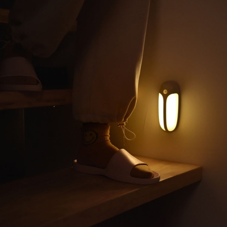 USB Rechargeable Firefly Smart Body Sensor LED Light, White Light