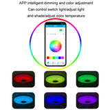 Remote Control Bluetooth LED Ceiling Lamp RGB Music Rhythm Color Changing Lamp, 33cm