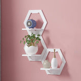 Wall Hanging Shelf Flower Pot Multifunctional Storage Box Room Decoration, Square, Hexagonal, Round