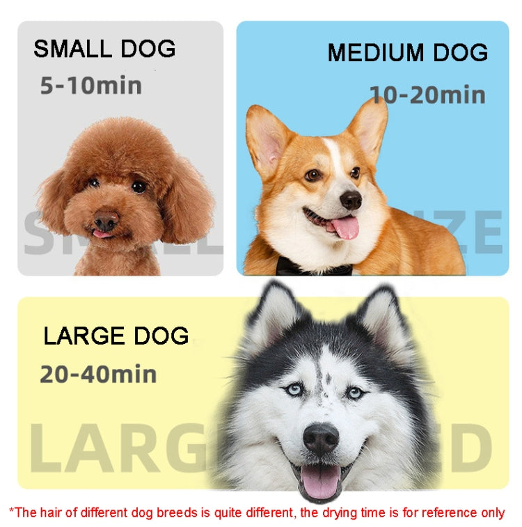 2100W Dog Dryer Stepless Speed Pet Hair Blaster Pet Water Blower, 220V UK Plug, 220V EU Plug, 220V AU Plug, 110V US Plug