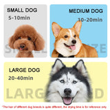 2100W Dog Dryer Stepless Speed Pet Hair Blaster Pet Water Blower, 220V UK Plug, 220V EU Plug, 220V AU Plug, 110V US Plug