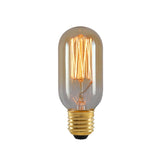 40W E27 Screw LED Dimmable Tungsten Bulb Pet Heating Lamp, ST64 Winding Wire, T125 Straight Wire, T185 Straight Wire, T300 Straight Wire, G80 Winding Wire, G80 Straight Wire, G95 Winding Wire, G95 Straight Wire, G125 Winding Wire, G125 Straight Wire   ...