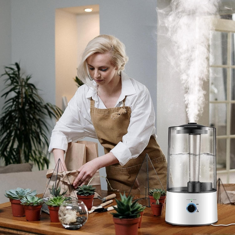 4L Reptile Humidifier Fogger Cool Mist Fog Mister with Tube for Tortoise Habita, EU Plug, US Plug, UK Plug, AU Plug