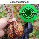 2pcs Plants Growth High Pressure Box Spherical Root Controller Grafting Root Cases, S Black 50mm, M Black 80mm, L Black 120mm, S Green 50mm, M Green 80mm, L Green 120mm, S Transparent 50mm, M Transparent 80mm, L Transparent 120mm