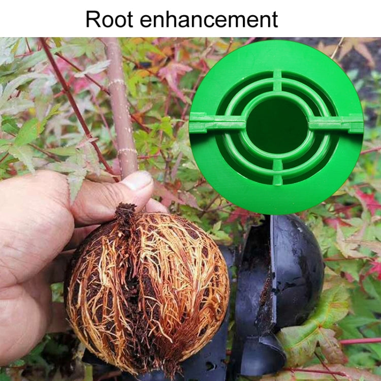 2pcs Plants Growth High Pressure Box Spherical Root Controller Grafting Root Cases, S Black 50mm, M Black 80mm, L Black 120mm, S Green 50mm, M Green 80mm, L Green 120mm, S Transparent 50mm, M Transparent 80mm, L Transparent 120mm