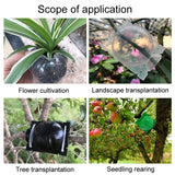 2pcs Plants Growth High Pressure Box Spherical Root Controller Grafting Root Cases, S Black 50mm, M Black 80mm, L Black 120mm, S Green 50mm, M Green 80mm, L Green 120mm, S Transparent 50mm, M Transparent 80mm, L Transparent 120mm