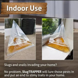 20pcs /Pack Snail Slug Trap Bag Garden Vegetable Plot Trap Transparent Plastic Bag