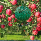 Outdoor Fruit Fly Mosquito Citrus Trap Sticky Ball, Green
