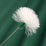 2pcs Medium Heads Silver Needle Goose Quill Stick Ear Picking Tool