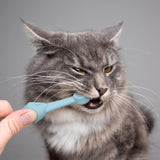 2pcs / Set Cats And Dogs Silicone Toothbrush Pet Oral Cleaning Care Tool