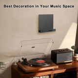 Vinyl Record Storage Wall Mounted Display Rack, YH011-1, YH011-2