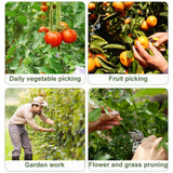 4pcs /Pack Melon and Fruit Picking Small Guillotine Grape Pinching Thumb Knife Vegetable Picker
