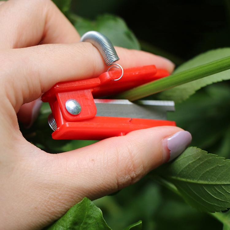 4pcs /Pack Melon and Fruit Picking Small Guillotine Grape Pinching Thumb Knife Vegetable Picker