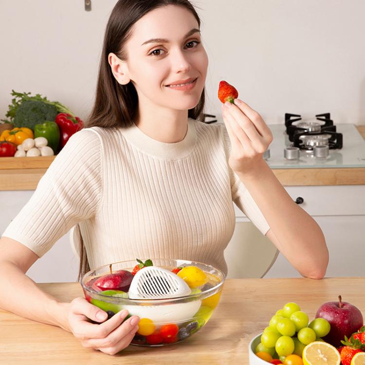 Portable Sterilization Pesticide Residue Removal Fruit Vegetable Cleaning Machine, English