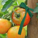 30m Garden Rope Fabric Cord Plant Support Ties