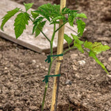 30m Garden Rope Fabric Cord Plant Support Ties